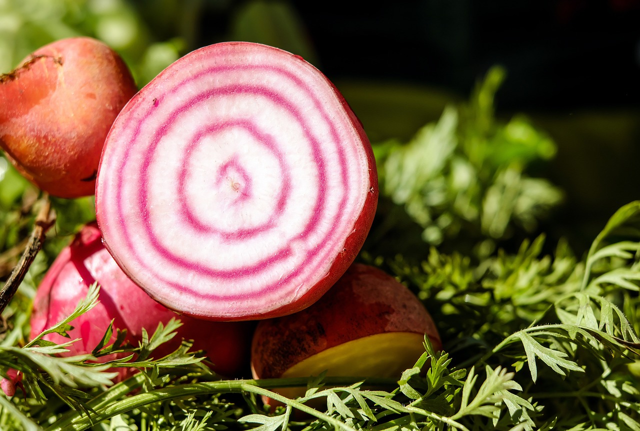 rote Bete frisch geschnitten Salatideen mit rote Bete Frische Rezepte