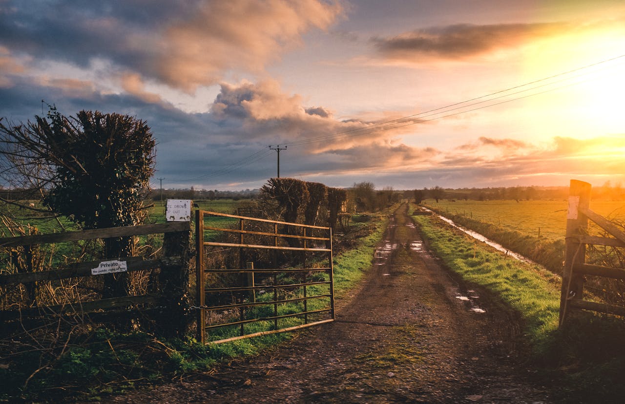 Bauernhof Sonne Farm Strom sparen auf dem Bauernhof – praktische Tipps für mehr Effizienz und weniger Kosten