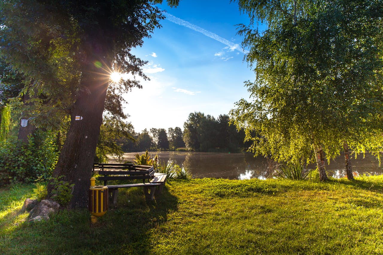 Garten Sonne Baum Schatten Schattenplätze im Garten – für Mensch und Tier ein Segen