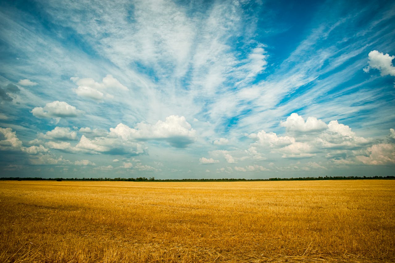 Feld Horizont Landwirtschaft Baustoffe auf dem Bauernhof vor Diebstahl schützen