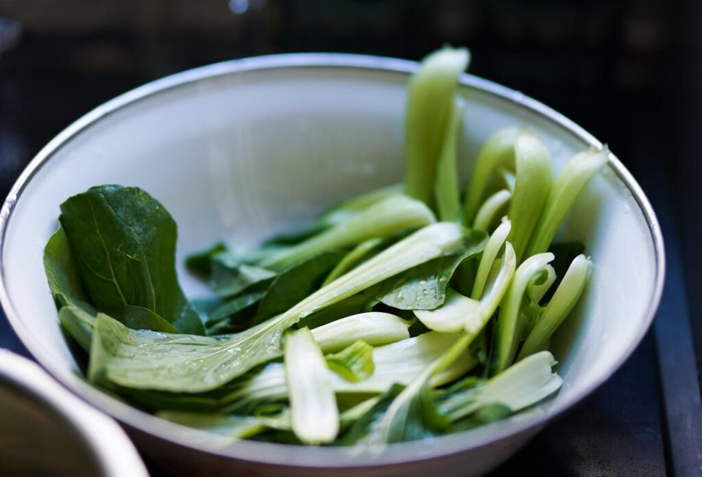 Gemüse kochen Pak Choi Rezepte erobern die Kulinarik – das vielseitige Gemüse entdecken